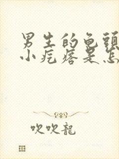 男生的龟头上有小疙瘩是怎么回事封面