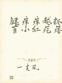 腿痒痒越抓越痒有小红疙瘩