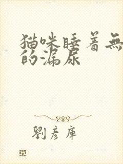 猫咪睡着无意识的漏尿封面