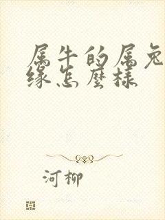 属牛的属兔的姻缘怎么样