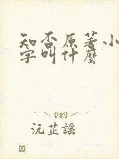 知否原著小说名字叫什么