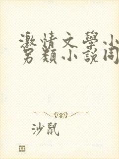 激情文学小说区另类小说同性