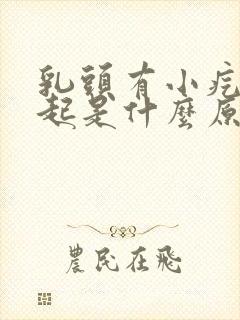 乳头有小疙瘩凸起是什么原因女性