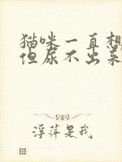 猫咪一直想尿,但尿不出来怎么办封面