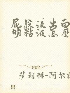 屁股流出白色透明粘液怎么回事