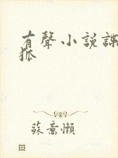 有声小说谍战银狐