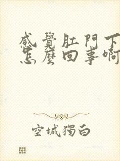 感觉肛门下坠是怎么回事啊封面