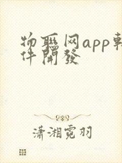 物联网app软件开发