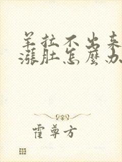 羊拉不出来屎还涨肚怎么办