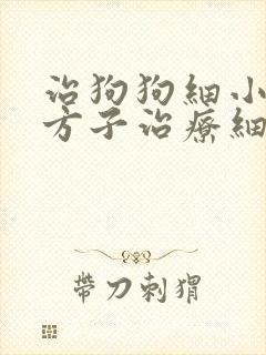 治狗狗细小的土方子治疗细小办法