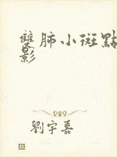 双肺小斑点结节影