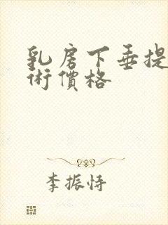 乳房下垂提升手术价格