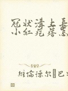 冠状沟上长了个小红疙瘩怎么回事封面