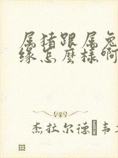 属猪跟属兔的姻缘怎么样啊