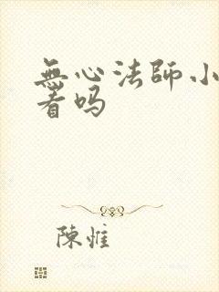 无心法师小说好看吗