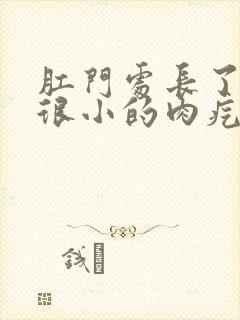 肛门处长了一个很小的肉疙瘩