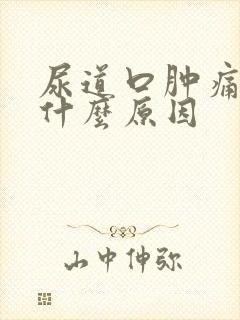 尿道口肿痛瘙痒什么原因