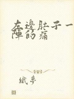 左边肚子一阵一阵的痛封面