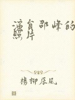 演员邵峰的妻子照片封面