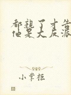 都亲了才告诉我他是大反派免费阅读封面