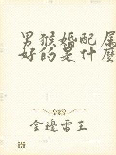 男猴婚配属相最好的是什么