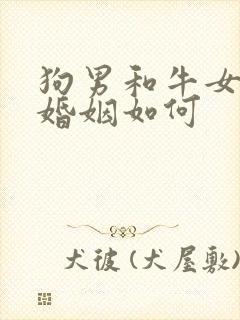 狗男和牛女相配婚姻如何