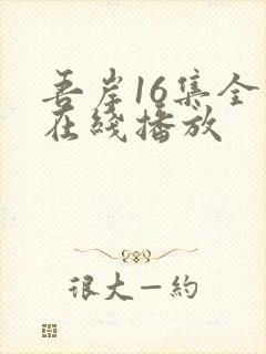 吾岸16集全集在线播放