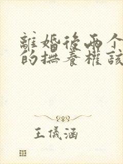 离婚后两个孩子的抚养权该归谁?