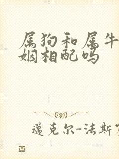 属狗和属牛的婚姻相配吗