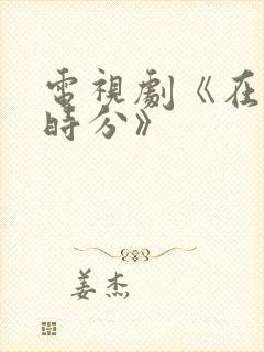 电视剧《在暴雪时分》