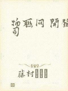 物联网 开发公司封面