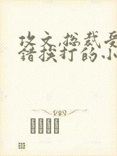 攻文,总裁受犯错挨打的小说