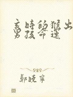 亥时的猴出生的男孩命运封面