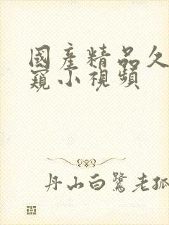 国产精品久久偷窥小视频封面