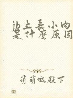 jb上长小肉粒是什么原因