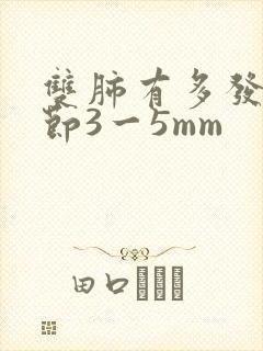 双肺有多发小结节3一5mm