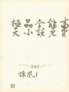 极品全能高手夏天小说免费阅读封面