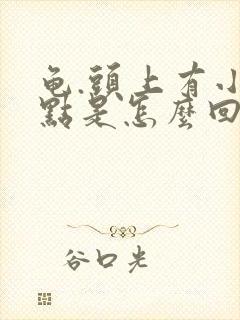 龟.头上有小红点是怎么回事还痒