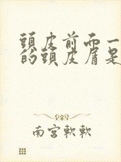 头皮前面一块块的头皮屑是怎么回事