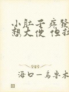 小肚子疼发胀 想大便 但拉不出来