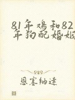 81年鸡和82年狗配婚姻好不好