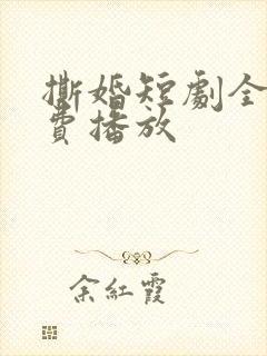 撕婚短剧全集免费播放封面