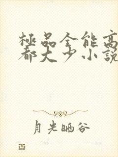 极品全能高手花都大少小说全集目录封面