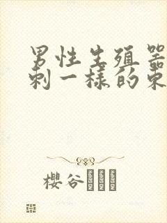 男性生殖器长粉刺一样的东西