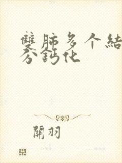 双肺多个结节部分钙化封面