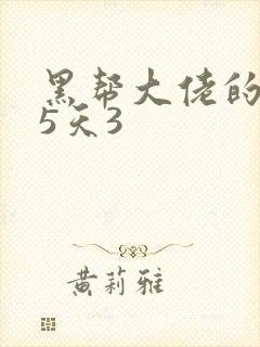 黑帮大佬的365天3