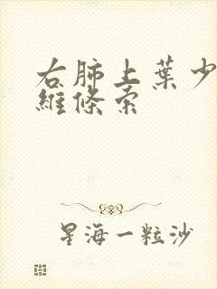 右肺上叶少许纤维条索