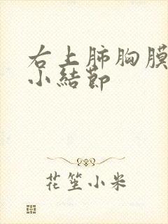 右上肺胸膜下微小结节