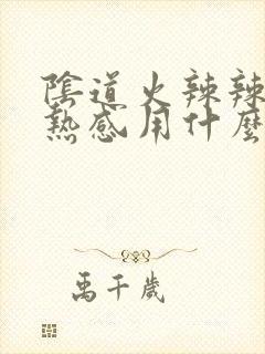 阴道火辣辣的灼热感用什么药