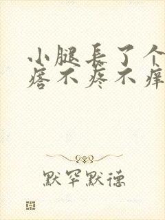 小腿长了个小疙瘩不疼不痒